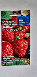 Насіння полуниці (земляники садової) Огородниця F1 15 насінин