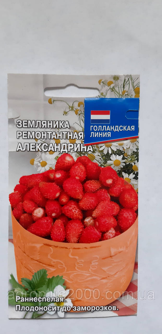 Насіння Суниця ремонтантна Олександрина 0,04 грама