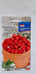Насіння Земляніка ремонтантна Александрина 0,04 грама