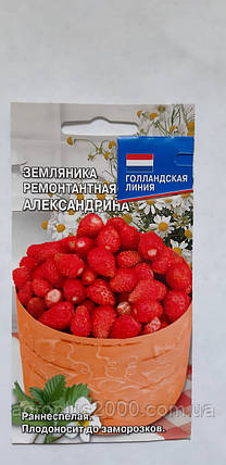 Насіння Суниця ремонтантна Олександрина 0,04 грама, фото 1