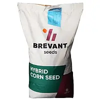 Насіння кукурудзи BREVANT P7517