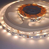 LED стрічка Biom Professional SMD2835 60шт/м 6.5W/м IP20 12V (2800-3300К) BPS-G3-12-2835-60-WW-20 14498, фото 2