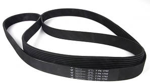 Ремінь поліклиновий