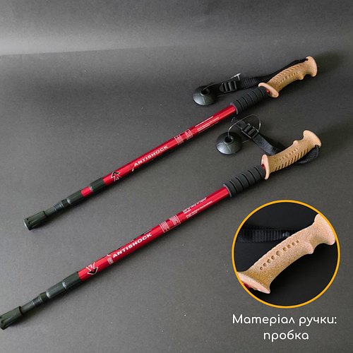 Скандинавские палки для спортивной ходьбы, Палки для скандинавской ...