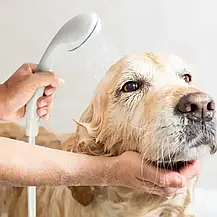 Туристичний портативний душ із помпою на акумуляторі Gotel Q16H, Душ для туризму, фото 3