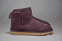 Ugg Australia Classic Mini II уггі черевики чоботи зимові овчина цигейка. Оригінал. 41-42 р./27 см.