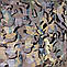 Маскувальна сітка на основі серія Basic мультикам коричневий Shade&Shelter®. 4*6м, фото 2