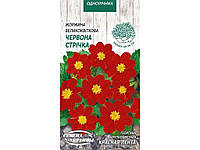 Георгіна СЕМЕНА УКРАИНЫ (10 пачок) великоквіткова "ЧЕРВОНА СТРІЧКА" ОД 0,2г