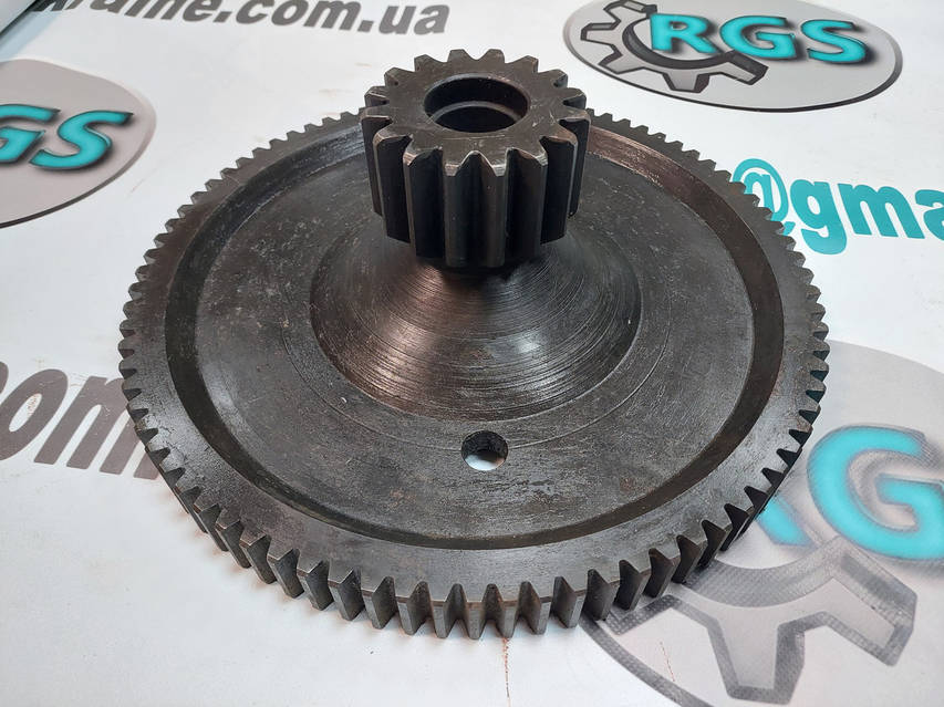 ロドレイア　130 楽天市場】【現品】ロドレイア ヘンリー 8号 高さ約1.2m(ポット