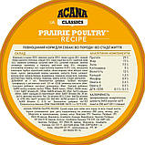 ACANA Prairie Poultry 11.4kg корм для собак з курятиною та індичкою, фото 5