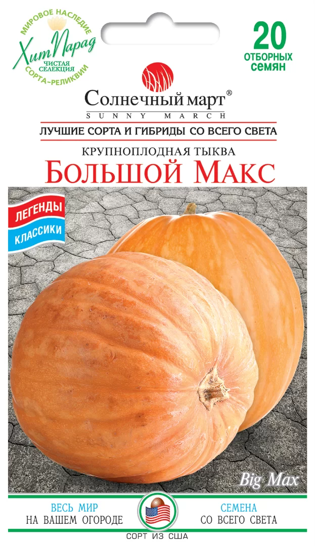 Насіння гарбуза Великий Макс,20шт(крупноплідна)