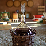 Бродильна трубка 6-камерна Browin v2, фото 8