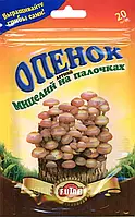 Мицелий летнего опенка на палочках