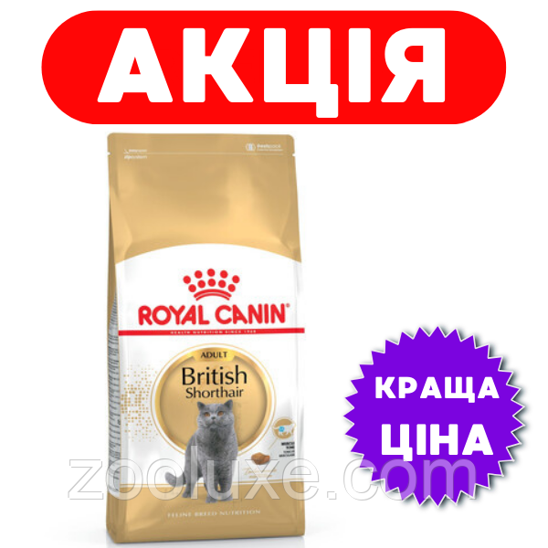 Royal Canin British Shorthair Adult 10 кг / Роял Канін Брітіш Шортхеа Едалт 10 кг — корм для кішок