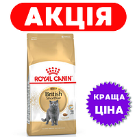 Royal Canin British Shorthair Adult 10 кг / Роял Канін Брітіш Шортхеа Едалт 10 кг корм для кішок