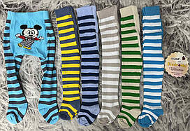 Колготки дитячі Biedronka бавовняні повномірні  На зріст  68-74 см