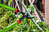 Сучкоріз садовий двохручний 700 мм Verto 15G250, фото 5
