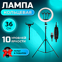 Кольцевая Led-Лампа 3 Разновидности Свечения CXB 360 36cm Штатив 2,1м + BT Кнопка | Набор для Блогера