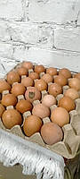 Яйца куриные (грязные)