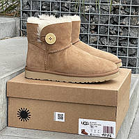 Ugg Mini Bailey Button Chestnut 36