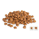 BONACIBO ADULT CAT 2kg сухий корм з м'ясом курки, анчоусами та рисом для дорослих котів всіх порід, фото 3