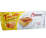 Міні бісквіт Balconi Albicocoa з абрикосом 280 гр, фото 2