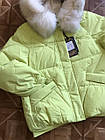 Куртка жіноча Зимова р.42-52 Яскравий Пуховик з натуральним хутром Фабричний Китай, фото 5