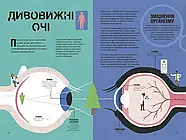 Неймовірна пригода бути людиною. Твоє надзвичайне тіло та як у ньому жити, фото 3