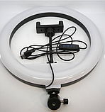 Кільцева Світлодіодна Led-Лампа YQ 26 cm Тримач для Телефону Штатив 2,1 м + BT Кнопка | Набір для Блогера, фото 3