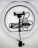 Кільцева Світлодіодна Led-Лампа YQ 26 cm Тримач для Телефону Штатив 2,1 м + BT Кнопка | Набір для Блогера, фото 4