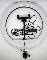 Кільцева Світлодіодна Led-Лампа YQ 26 cm Тримач для Телефона Штатив 2,1м + BT Кнопка, Набір для Блогера, фото 5
