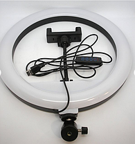 Кільцева Світлодіодна Led-Лампа YQ-30 cm Тримач для Телефона Штатив 2,1м + BT Кнопка, Набір для Блогера, фото 4