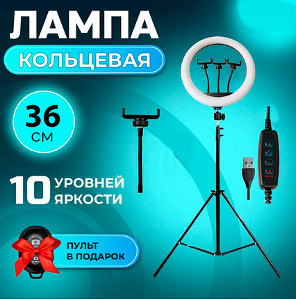 Кільцева Led-Лампа 3 Різновиди Світіння CXB 360 36cm Штатив 2,1м + BT Кнопка, Набір для Блогера, фото 1