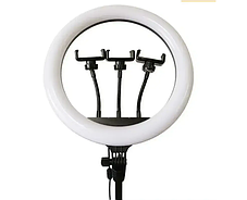 Кільцева Led-Лампа 3 Різновиди Світіння CXB 360 36cm Штатив 2,1м + BT Кнопка, Набір для Блогера, фото 3