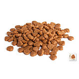 BONACIBO ADULT CAT LAMB & RICE 5kg сухий корм з ягням та рисом для дорослих котів з чутливим шлунком та вибагливих до їжі, фото 4