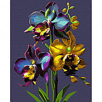 Картина по номерам SANTI "Орхидеи" 40х50
