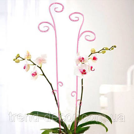 Підпорка для орхідей прозора 82078, фото 2