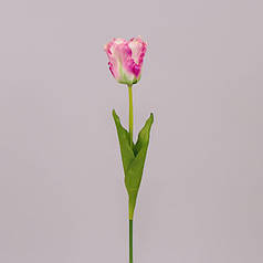Квітка Тюльпан кремово-рожева 70769