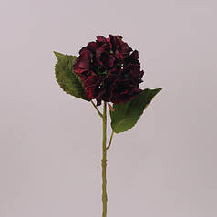 Квітка Гортензія темно-червона 71116