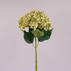 Квітка Гортензія оливкова 75 см. 72293