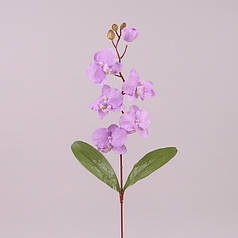 Квітка Фаленопсис світло-фіолетова 73147