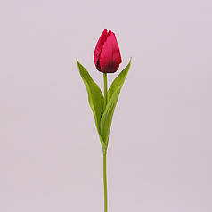 Квітка Тюльпан червона 73255