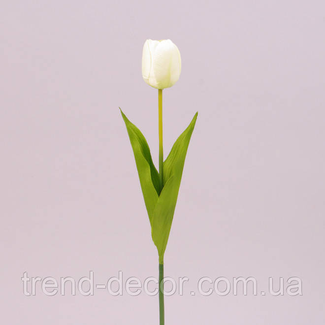 Квітка Тюльпан кремова 73264