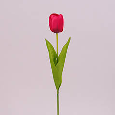 Квітка Тюльпан червона 73265