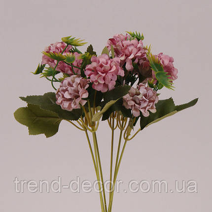 Квітка Оксамитка темно-рожева 72478, фото 2