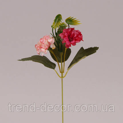 Квітка Оксамитка малинова 72480, фото 2