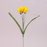 Цветок Крокус желтый 73276