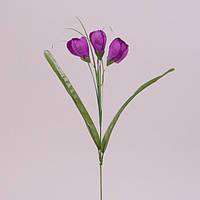 Цветок Крокус темно-фиолетовый 73278