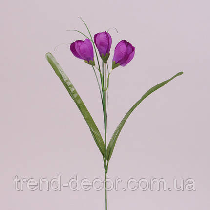 Квітка Крокус темно-фіолетова 73278, фото 2