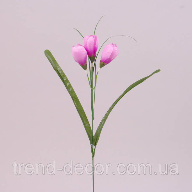 Квітка Крокус рожева 73279